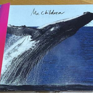 【大きな帯付き】SENSE Mr.Children CD