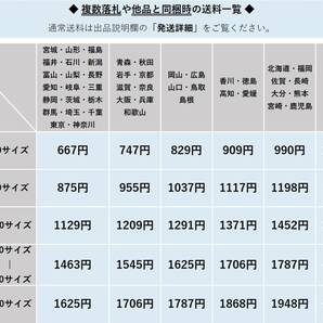 ◎新日本製薬 株主優待◎ 朝イチスッキリ! 青汁サラダプラス1箱(3.3g×31包) 賞味期限:2024.11 大麦若葉加工食品/栄養機能食品の画像3