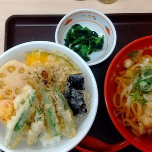 【相互評価】さん天 野菜天丼＋LINEクーポンオクラ乗せ・かけうどん(普通盛り)＋店頭配布クーポンより菠薐草の画像1