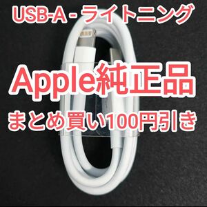 13　ライトニングケーブル iPhone iPad iPod apple airpods アップル Lightning 純正 付属