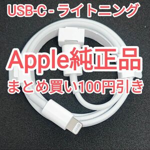 18　apple純正 ライトニングケーブル 充電ケーブル データ転送 iPhone iPod touch 純正品付属品正規品