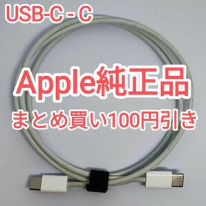  20　apple純正品 USB-Cケーブル 充電ケーブル データ転送ケーブル iPhone iPad 純正品付属品正規品