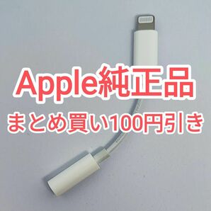 21　apple純正品 ライトニング イヤホン 変換ケーブル iPhone iPad iPod touch Lightning 