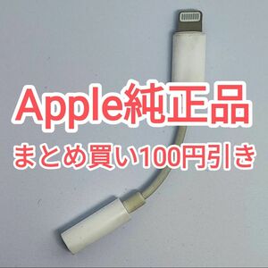 22　ライトニング イヤホン 変換 iPhone iPad iPod apple アップル Lightning 純正 付属