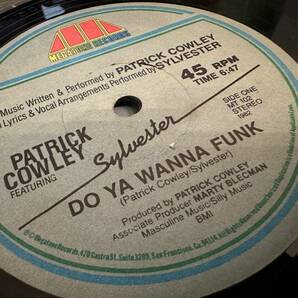 12”★Patrick Cowley Featuring Sylvester / Do Ya Wanna Funk / シンセ・ポップ・ディスコ！！の画像1