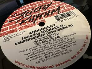 12”★Androgeny Featuring Michael M. / Genderbender (Now Work It) USハウス・クラシック！！