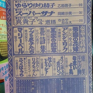 王家の紋章 プリンセス1977年11月号 巻頭カラー悪魔の花嫁 アンジェリク イブの息子たち 花詩集 真貴子 スーパーサナの画像7