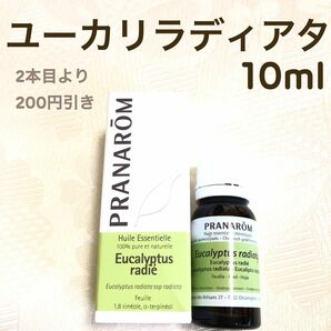 【ユーカリラディアタ 】10ml プラナロム 精油