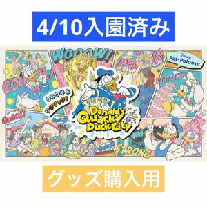 ディズニーランド　4/10 入園済みチケット　ダッフィーアンドフレンズスプリング　グッズ購入用 ポストカード付き