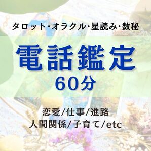 電話鑑定 60分 占い 鑑定 人生相談 恋愛相談 天職 使命 片思い 失恋