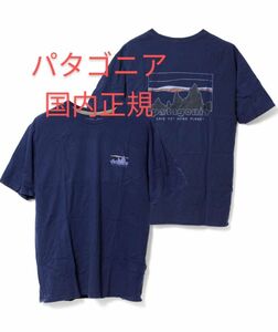 73 スカイライン オーガニック Tシャツ パタゴニア