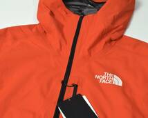 未使用5.9万 THE NORTH FACE ノースフェイス SUMMIT SERIE FL L5 LT フューチャーライト ジャケット USA S NP51923_画像4