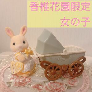 Sylvanian Families シルバニアファミリー 閉園 香椎花園 かしいかえん 福岡限定 女の子 初めてのときめき