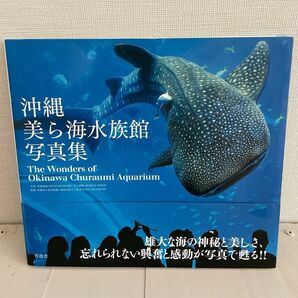 沖縄美ら海水族館写真集 宮地岩根／写真　守谷美峰／写真　沖縄美ら海水族館／監修