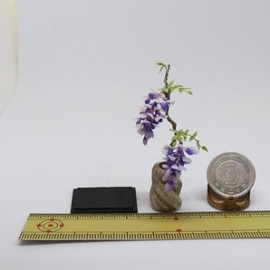 maco's miniature flower♪藤の花の生け花♪の画像5