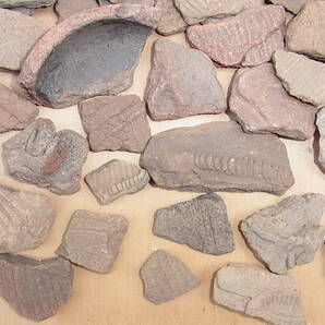 縄文土器破片 山梨県内の縄文前期・中期遺跡地（現在は桃畑）などにて約５０年前に表面採集したものです 重さ約3.3ｋｇの画像4