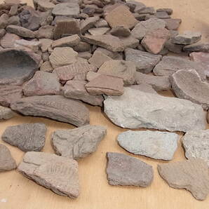 縄文土器破片 山梨県内の縄文前期・中期遺跡地（現在は桃畑）などにて約５０年前に表面採集したものです 重さ約3.3ｋｇの画像8