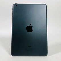 iPad mini 第1世代 Wi-Fiモデル 16GB ブラック＆スレート MD528J/A_画像3