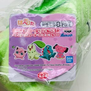 新品 ポケットモンスター ポケモン ほぺぴた ぬいぐるみ プリン チコリータ ブルー 3種 セットの画像5