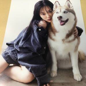 迅速対応 山下美月 2nd写真集 ヒロイン 犬 ポストカード 同封可能の画像1