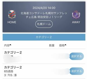 コンサドーレ札幌対サンフレッチェ広島　カテ2 端席　1枚