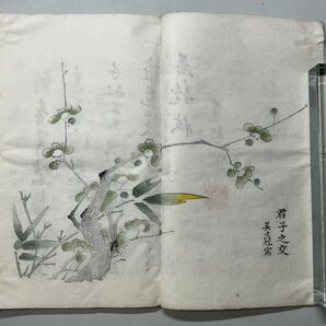 唐本「十竹齋書画譜」1冊 梅譜 木板套印本 白紙 和本唐本漢籍古書中国の画像7