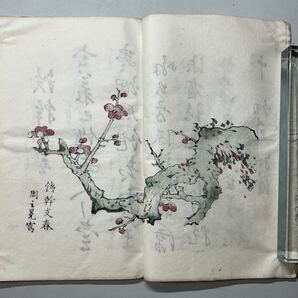 唐本「十竹齋書画譜」1冊 梅譜 木板套印本 白紙 和本唐本漢籍古書中国の画像8