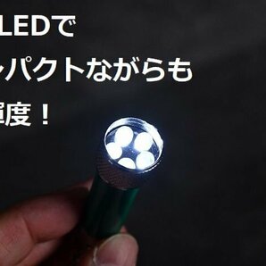 お得な5個セット LEDライト キーホルダー 小型LEDライト キーライト 高輝度 5灯 LR44 ボタン電池 LTG 7987626 5本セット 新品 1円 スタートの画像7