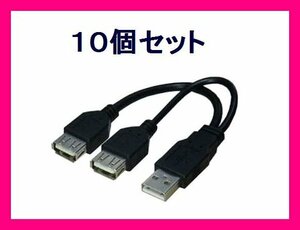 新品 変換名人 分岐 USBケーブル 電源用USB 増設 USBA/2×10個