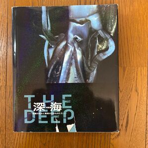 深海　特別展　図鑑です　2013年　国立科学博物館で購入したものです。　深海魚に興味ある方おすすめ