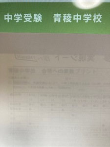 中学受験　青稜中学校　2025年合格への算数と分析理科プリント