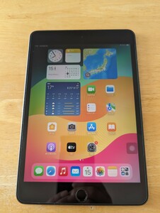 Apple iPad mini5 64GB Wi-Fi スペースグレー アクティベーションロック解除済み動作確認済み