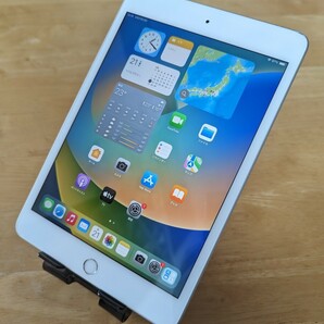 Apple iPad mini5 第5世代 64GB Wi-Fi Cellularモデル アクティベーションロック解除済み 動作確認済み KDDI ◯の画像1