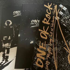 ONE OK ROCK 2014 “Mighty Long Fall at Yokohama Stadium 通常仕様 [DVD]