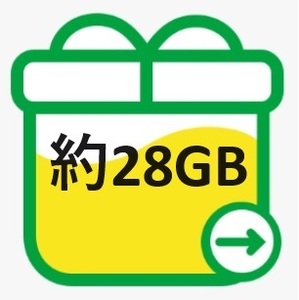 mineo マイネオ パケットギフト 約28GB 送料無料 200円OFFクーポンをお持ちの方におすすめ！！
