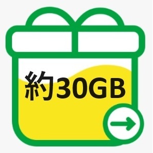 mineo マイネオ パケットギフト 約30GB 送料無料 200円OFFクーポンをお持ちの方におすすめ！！の画像1