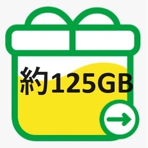 mineo マイネオ パケットギフト 約125GB 送料無料 クーポンをお持ちの方におすすめです！