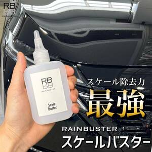 RB スケールバスター　ボトル　100ml クロス付　スケール除去　水アカ除去　解説動画有り　ウロコ　プロ仕様　約4〜5台分