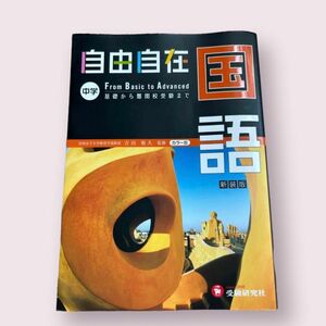 自由自在　中学国語 受験研究社