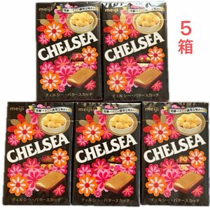 クーポン利用 明治 チェルシー バタースカッチ 箱タイプ キャンディー 飴 生産終了 meiji CHELSEA