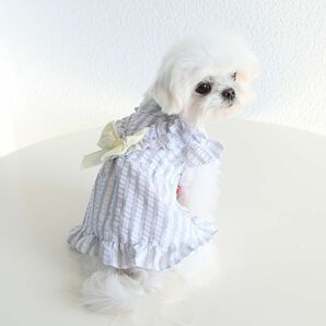 ピンクMサイズ◆【残り数枚】犬服 ワンピース 春 夏 ストライプ 新作 フリル袖 新品 ドッグウェア 犬用品 ペット用品 スナップボタンの画像9