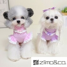 ピンクMサイズ◆【残り数枚】犬服 タートルニット 無地 セーター リブニット インナー アウター シャツ カットソー ドッグウェア 新品_画像1