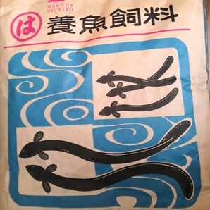【送料無料】ハイステップ 1キロ うなぎの餌 ウナギの餌 鰻の餌 鰻用 練り餌 粉エサ 養鰻飼料 稚魚小魚 罠餌 釣り 集魚 うなぎ餌の画像1