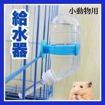 取付　ミニ　小さい　ハリネズミ　ハムスター 小動物 給水器 飲み 入れ ウォーターボトル　ゲージ　取付　60ml ブルー　簡単_画像1