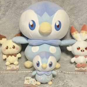 ポケピース　4点セット（でかポッチャマ、ポッチャマ、ヒバニー、ピチュー）　ポケモンぬいぐるみ