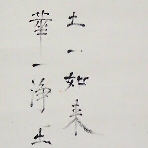 ★☆【 入江酉一郎 掛軸「白椿」紙本 墨彩画 肉筆 共箱 】京都府 師;入江涛光 日展参与 ☆★の画像4