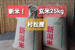 ☆令和5年度☆新米！！新潟産コシヒカリ玄米25kg☆従来こしひかり(非BL)☆(^^)/ 