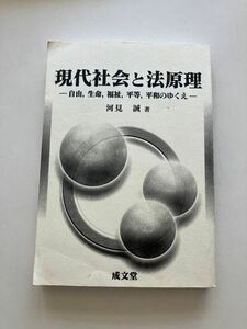 現代社会と法原理　自由，生命，福祉，平等，平和のゆくえ 河見誠／著　青山学院大学