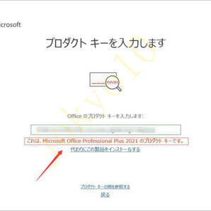 Office Professional Plus 2021 プロダクトキー ライセンスキー Word Excel PowerPoint Access Publisher ダウンロード版の画像2