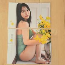 田中美久　ラミネート加工　ヤングチャンピオン　切り抜き 両面ポスター　F018_画像2